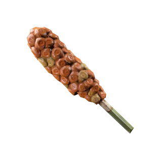 Possibly Toxic Plant
