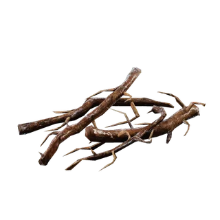Roots