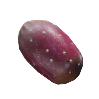 Prickly Pear