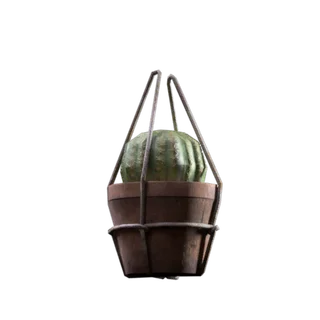 Succulent (Backpack Charm)