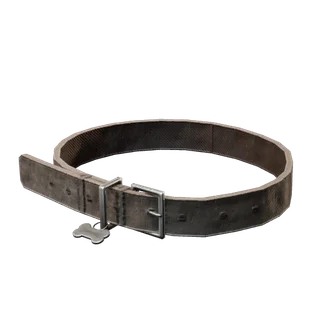 Dog Collar