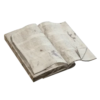 Torn Book