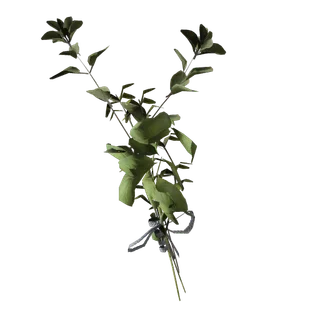Great Mullein