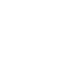 Embedded Blast Engineering