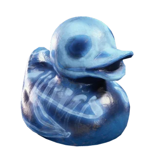 MRI Duck