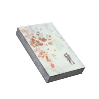 Library Book