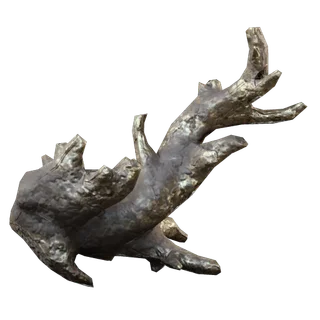 Fossilized Lightning